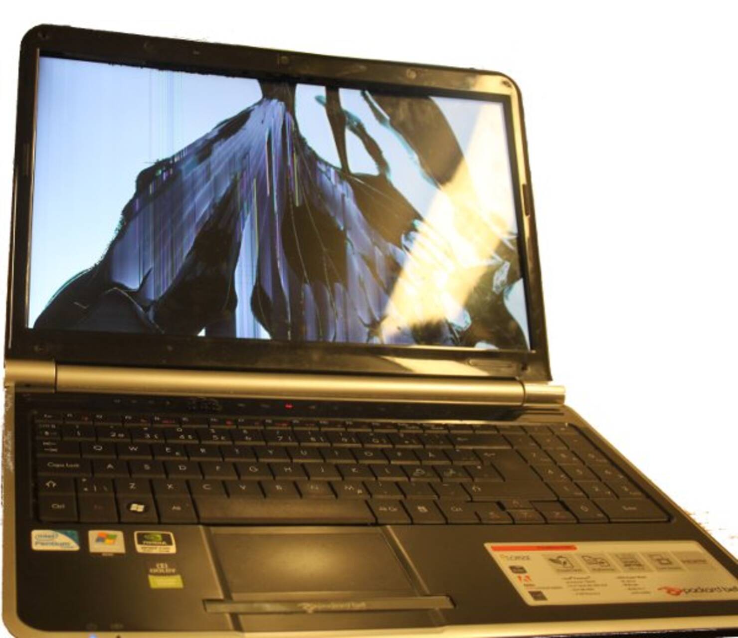 Bild på Trasig laptop